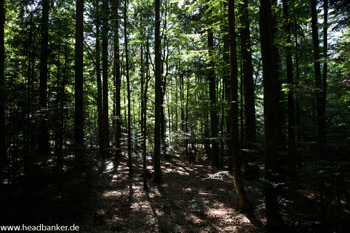 Nationalpark Bayrischer Wald