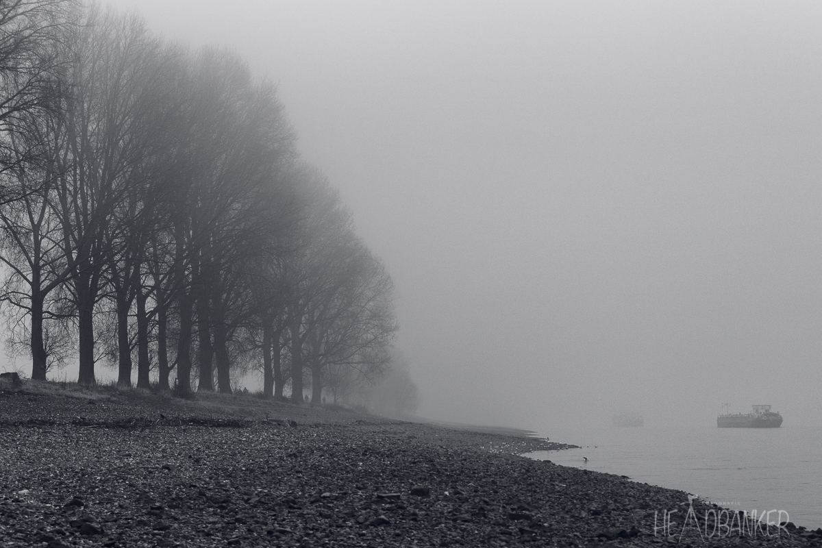 Der Rhein im Nebel