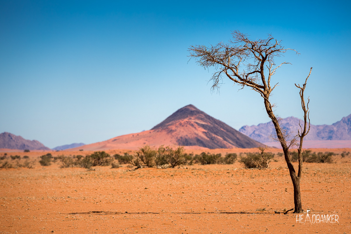 Namibia XIV – Im Sossusvlei